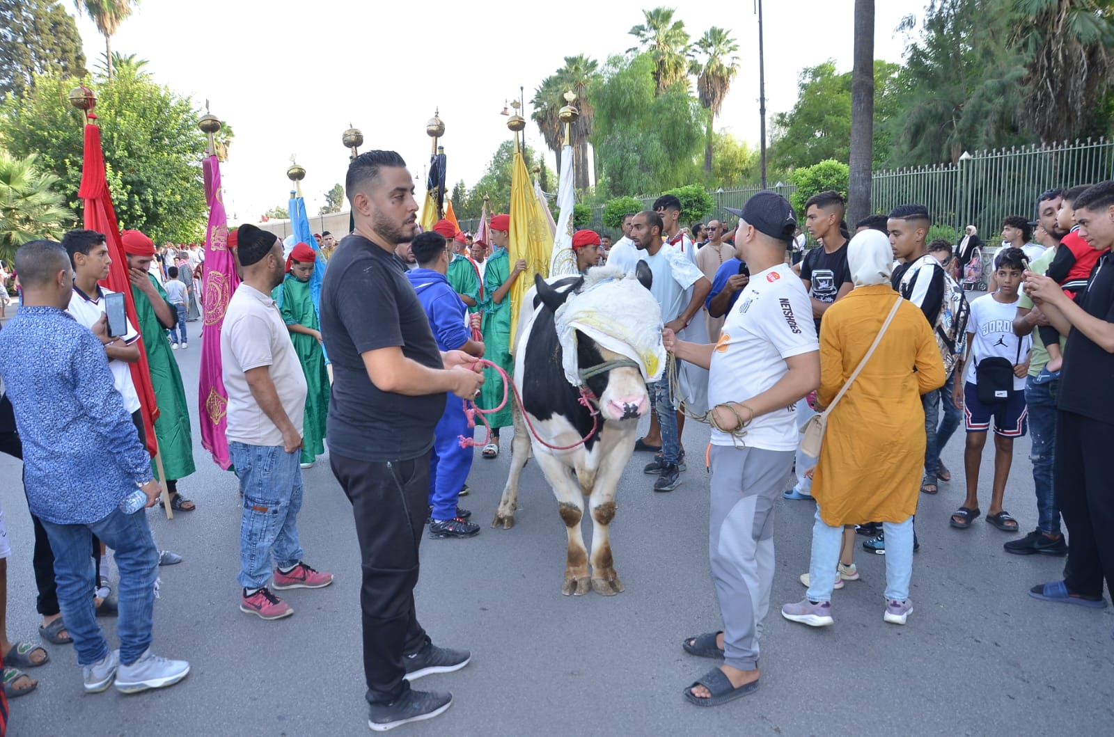 فاس .. تنظيم حفل تقديم كسوة ضريح المولى إدريس الأزهر