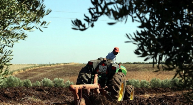 إفريقيا .. تطوير الإمكانات الفلاحية يتطلب العصرنة والتحول