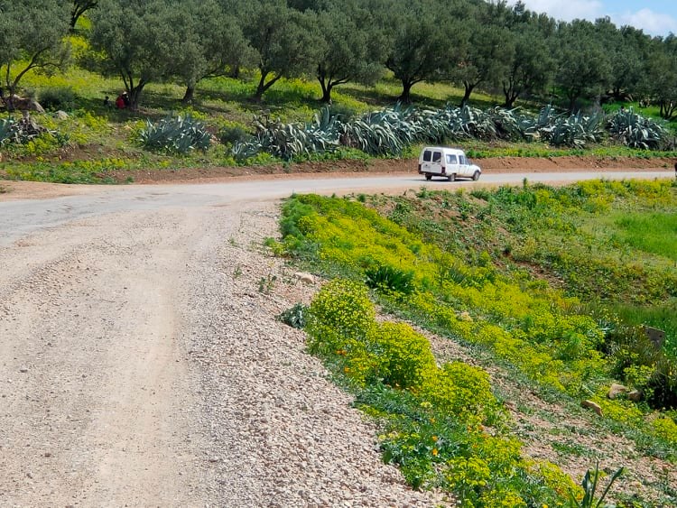 في الطريق نحو  جماعة عين جمعة عمالة مكناس