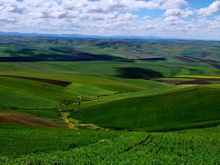 في الطريق نحو  جماعة عين جمعة عمالة مكناس