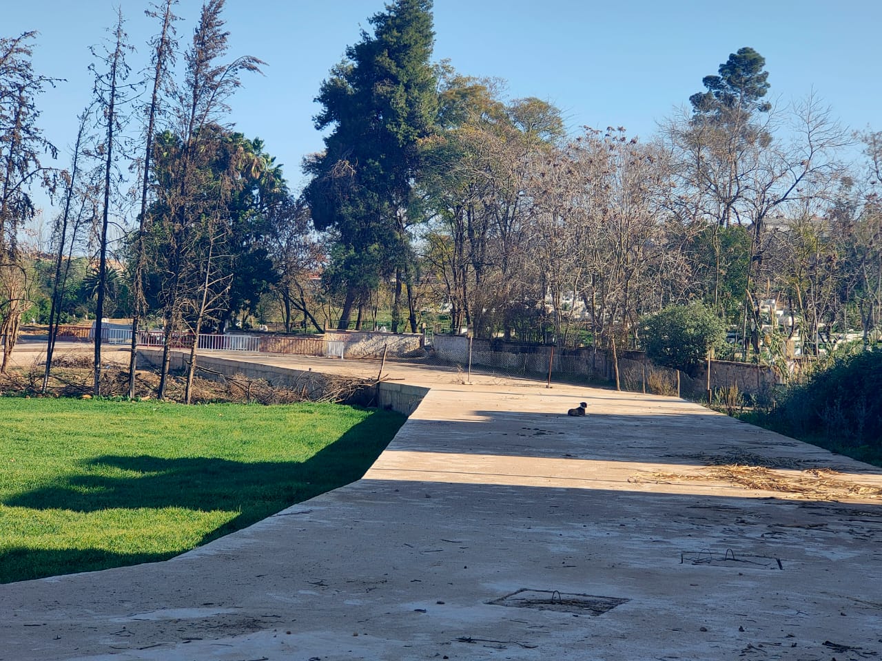 تجزئة المنظر الجميل (3) تناهض السرقات المتكررة بالتعاقد مع شركة للأمن الخاص.