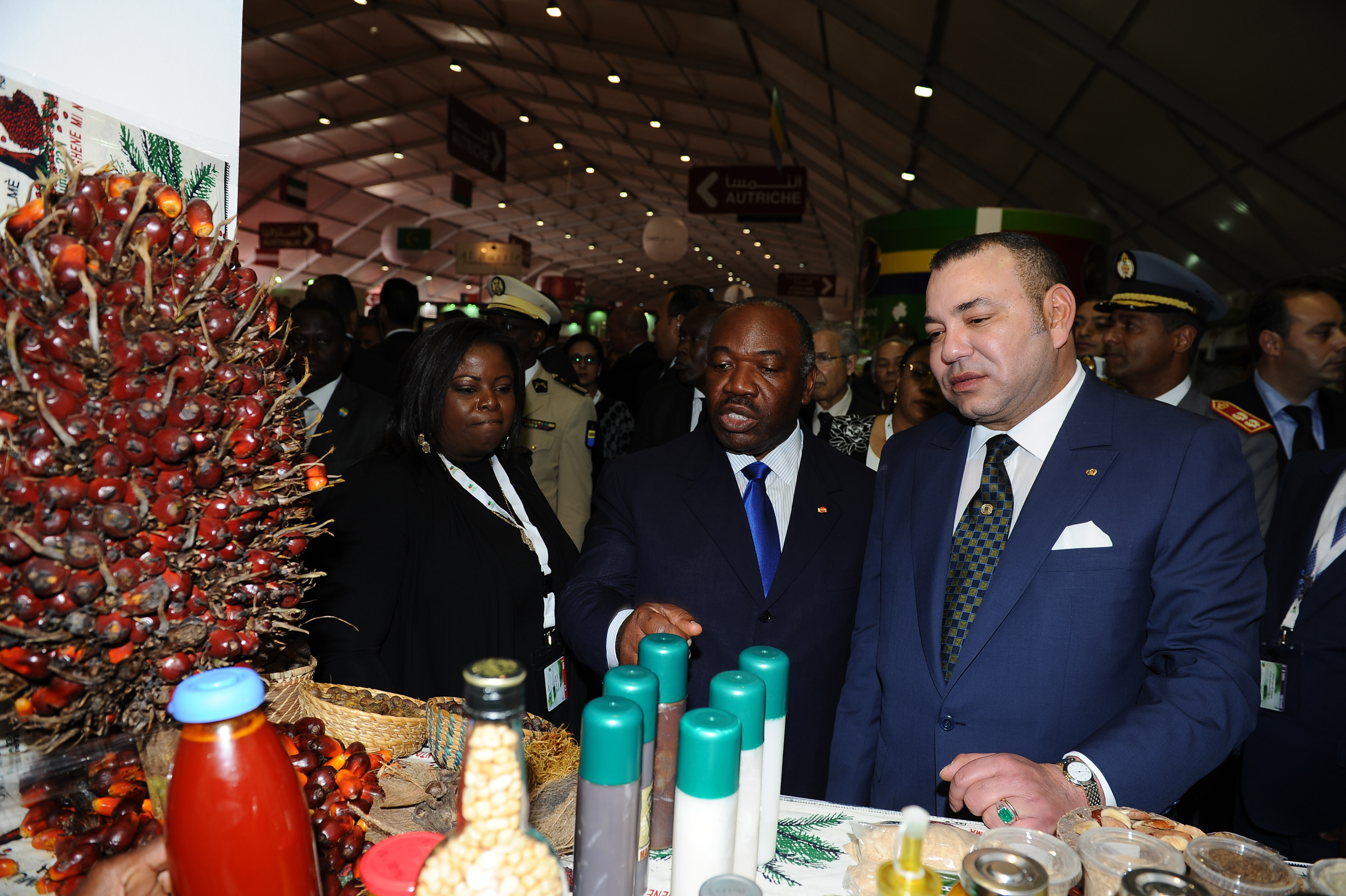 الاستعدادات جارية لإنجاح النسخة الخامسة عشر من الملتقى الدولي للفلاحة بالمغرب