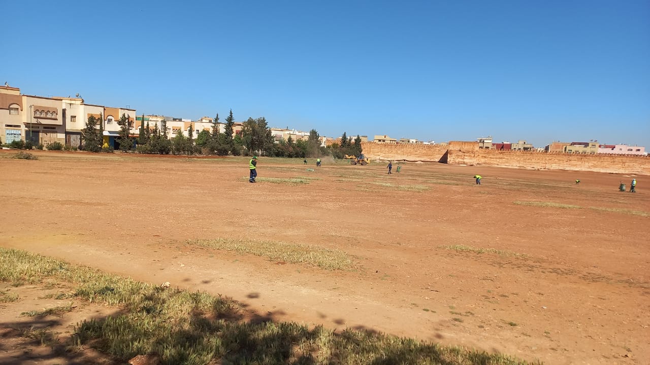 موقف للسيارات والحافلات خاص بالملتقى الدولي للفلاحة جديد على مساحة تزيد عن (10ه) موقف للسيارات والحافلات خاص بالملتقى الدولي للفلاحة جديد على مساحة تزيد عن (10ه)