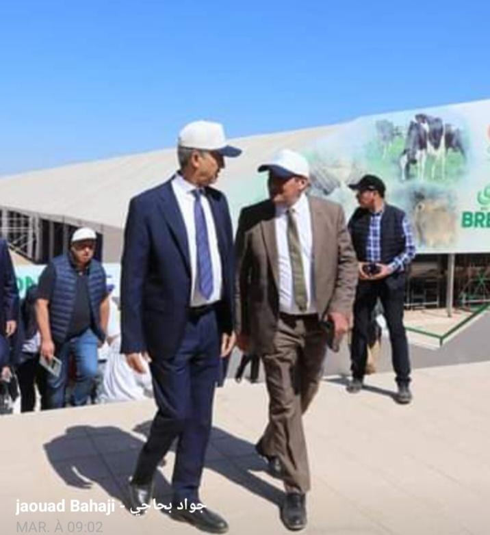 خاص عن استعدادات احتضان المعرض الدولي للفلاحة بمكناس أشغال ليل نهار لاحتضان النسخة 15 للمعرض الدولي للفلاحة بمكناس وسلطات المدينة في حالة استنفار قصوى جواد باحاجي : رئيس جماعة مكناس جاهزون لاحتضان الموعد السنوي * خاص عن استعدادات احتضان المعرض الدولي للفلاحة بمكناس أشغال ليل نهار لاحتضان النسخة 15 للمعرض الدولي للفلاحة بمكناس وسلطات المدينة في حالة استنفار قصوى جواد باحاجي : رئيس جماعة مكناس جاهزون لاحتضان الموعد السنوي *