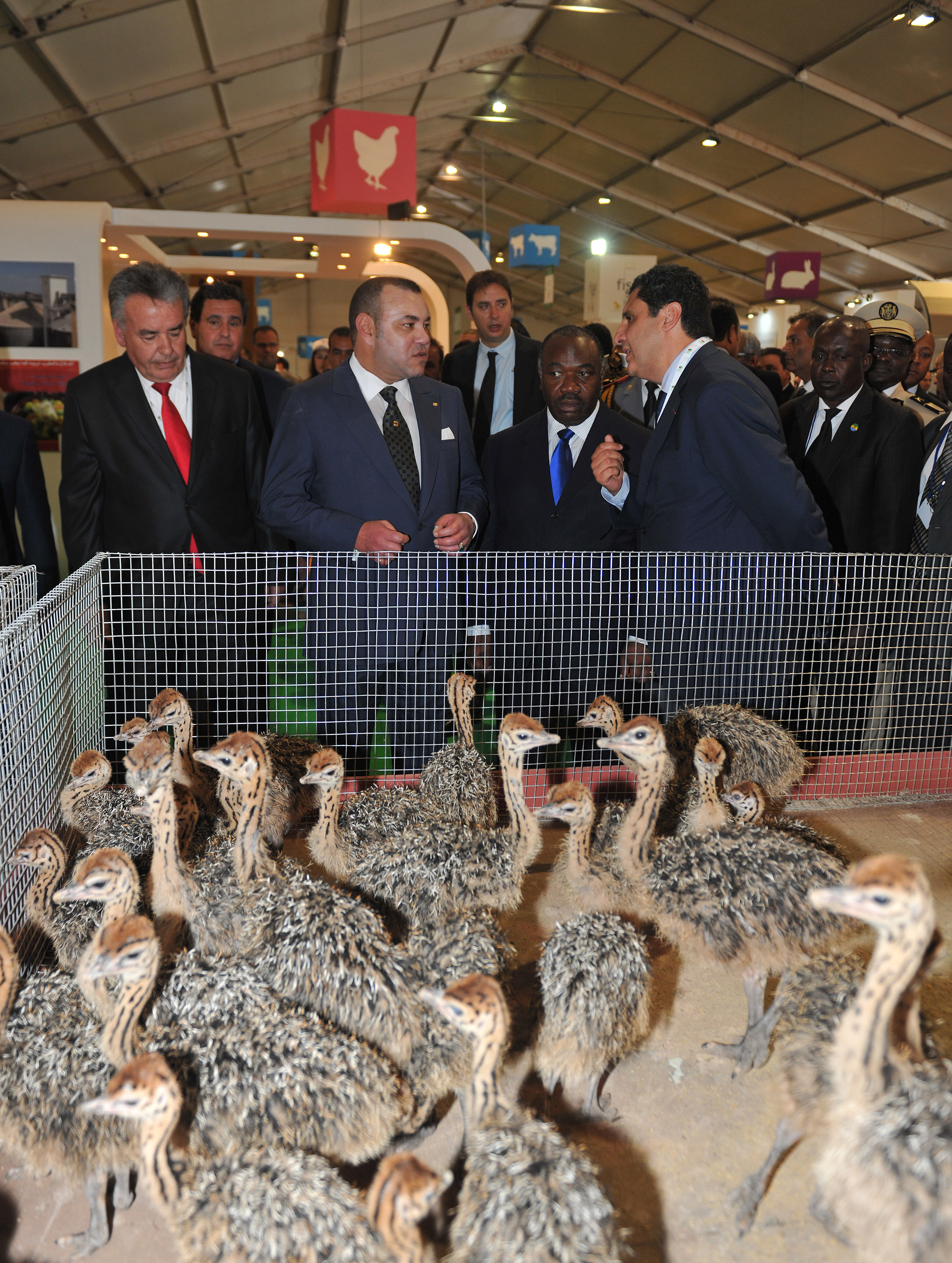 هذه مختلف الأقطاب التي سيضمها الملتقى الدولي للفلاحة بالمغرب