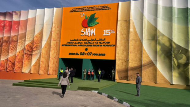 بحضور صديقي ولقجع ونورالدين بوطيب .. رئيس الحكومة عزيز أخنوش يفتتح الدورة الـ15 للملتقى الدولي للفلاحة بمكناس بحضور صديقي ولقجع ونورالدين بوطيب ..رئيس الحكومة عزيز أخنوش يفتتح الدورة الـ15 للملتقى الدولي للفلاحة بمكناس