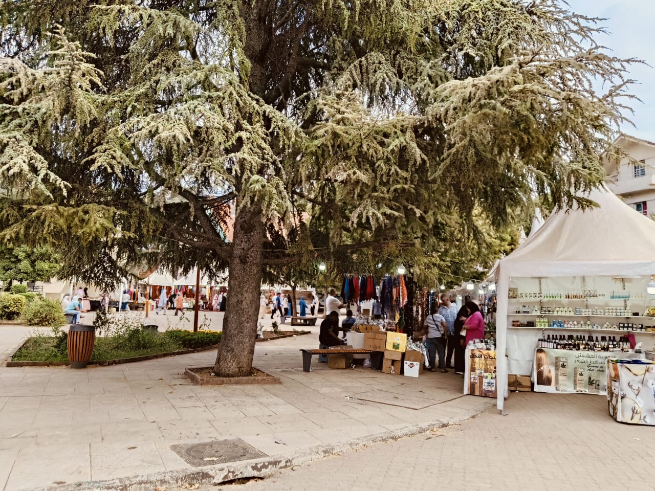 معرض الاقتصاد الاجتماعي التضامني يواكب بفعالية فقرات مهرجان إفران الدولي.