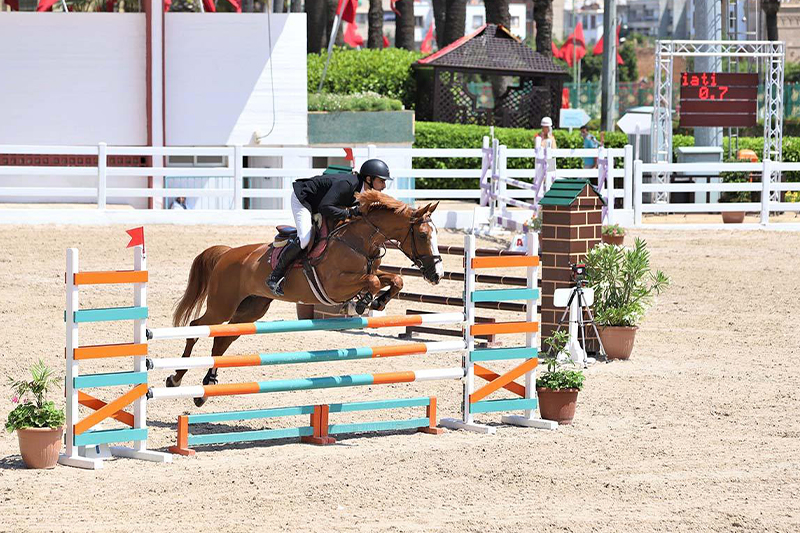 انطلاق منافسات المباراة الرسمية للقفز على الحواجز 3 نجوم بالمدرسة الملكية للخيالة بتمارة