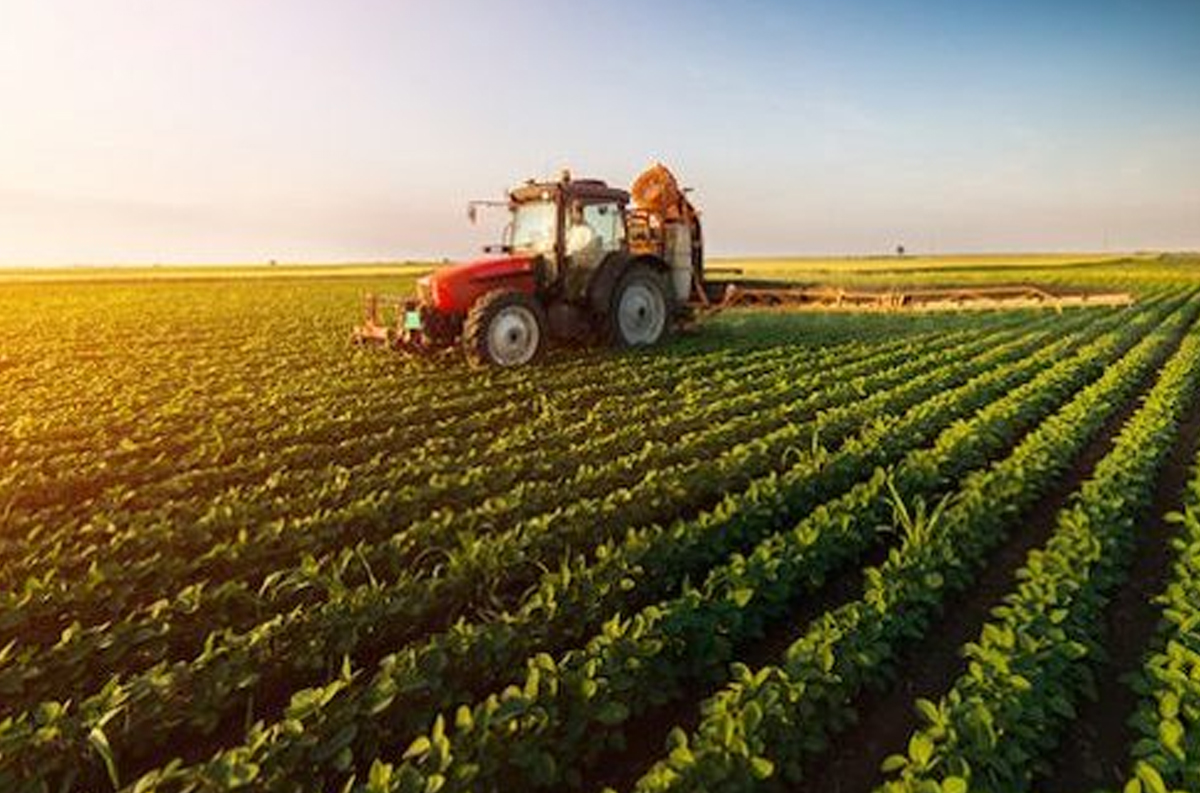 تقرير بريطاني حول الأمن الغذائي يسلط الضوء على العلاقات الفلاحية مع المغرب تقرير بريطاني حول الأمن الغذائي يسلط الضوء على العلاقات الفلاحية مع المغرب