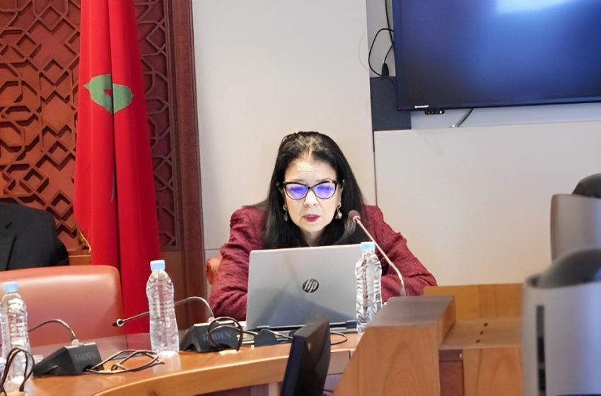 السيدة السغروشني.. الوزارة تعمل على وضع خارطة طريق لتطبيق الذكاء الاصطناعي في الإدارات المغربية (وزيرة) السيدة السغروشني.. الوزارة تعمل على وضع خارطة طريق لتطبيق الذكاء الاصطناعي في الإدارات المغربية (وزيرة)