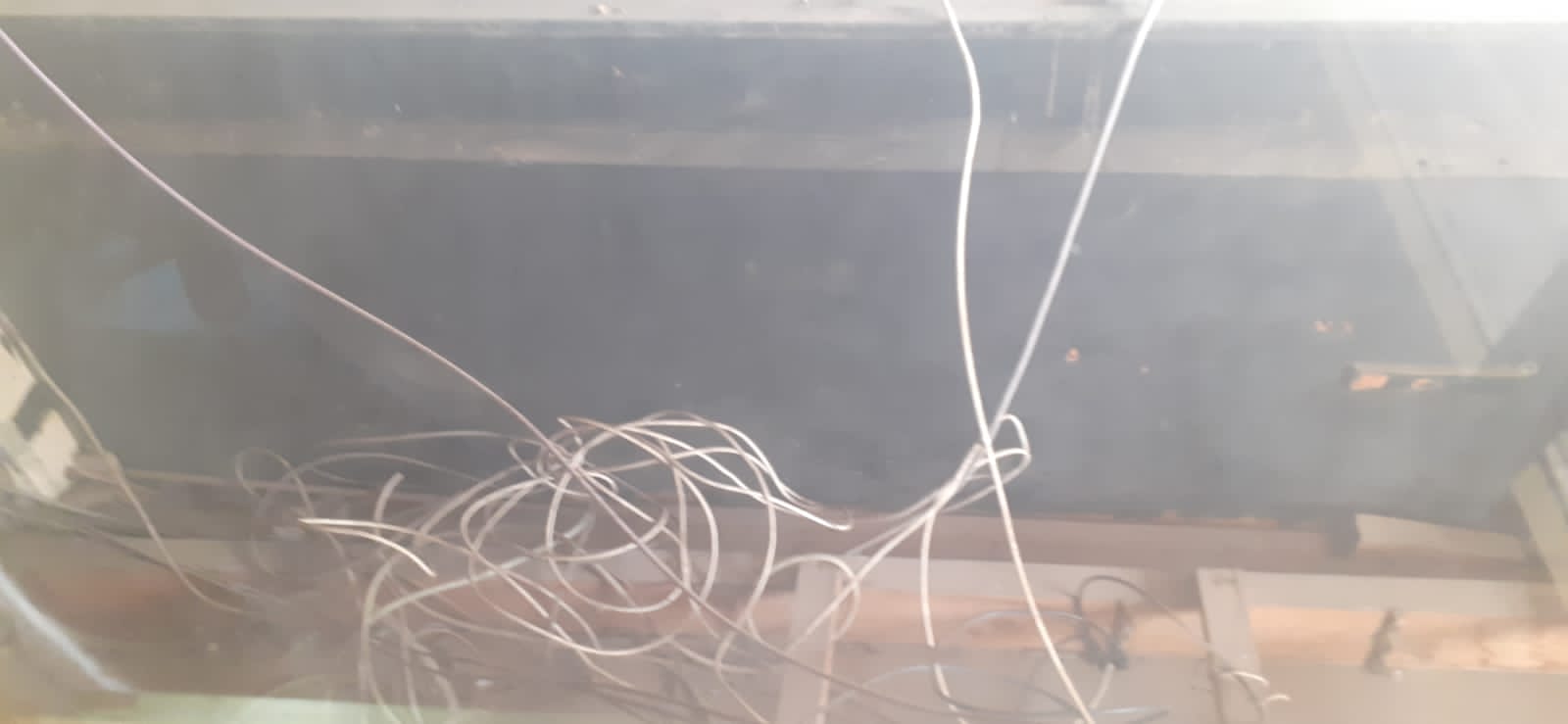 إقامة بالمدينة الجديدة تتواجد بساحة الوحدة الإفريقية تشتكي من مقهى تحتل عموم ممر الراجلين. إقامة بالمدينة الجديدة تتواجد بساحة الوحدة الإفريقية تشتكي من مقهى تحتل عموم ممر الراجلين.