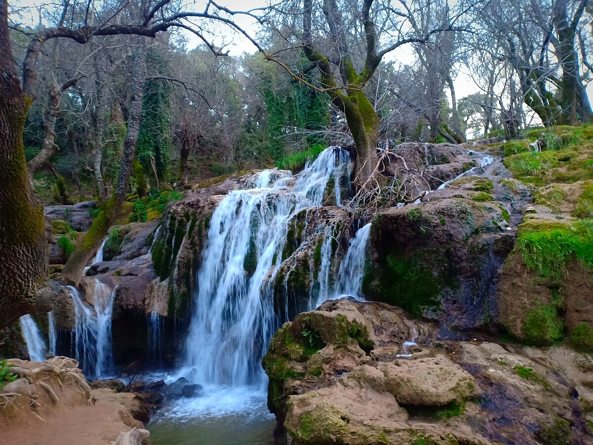 المنتزه الوطني لإفران ينتعش بعد أمطار الخير