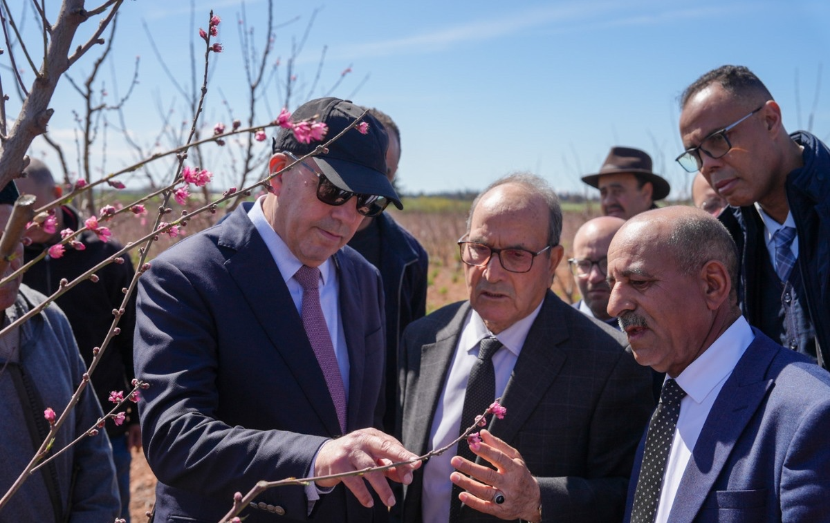 فاس مكناس .. السيد البواري يقوم بزيارة ميدانية إلى عمالة مكناس وإقليم الحاجب لتتبع تقدم الموسم الفلاحي وتأثير التساقطات المطرية الأخيرة