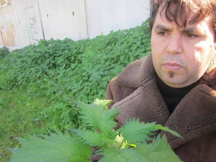 فوائد نبات الحريق فوائد نبات الحريق