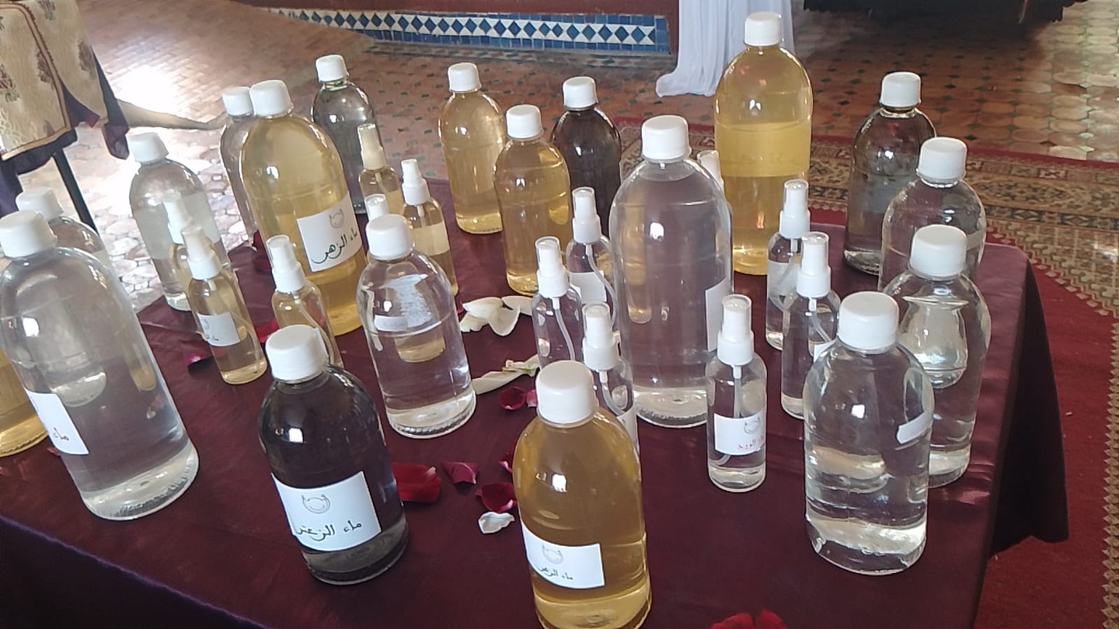 نجاح كبير لمعرض المنتوجات المجالية لمنظمة المرأة الأمينية الغازية بمكناس نجاح كبير لمعرض المنتوجات المجالية لمنظمة المرأة الأمينية الغازية بمكناس