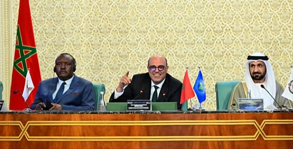 الإشادة بالدور الريادي الذي يضطلع به جلالة الملك في تعزيز التعاون جنوب- جنوب