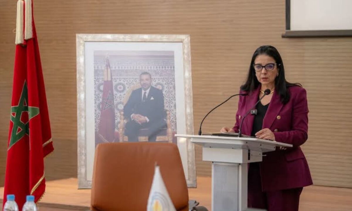 تبادل الخبرات في مجال الحكامة في صلب التعاون المغربي الإفريقي (السيدة السغروشني)