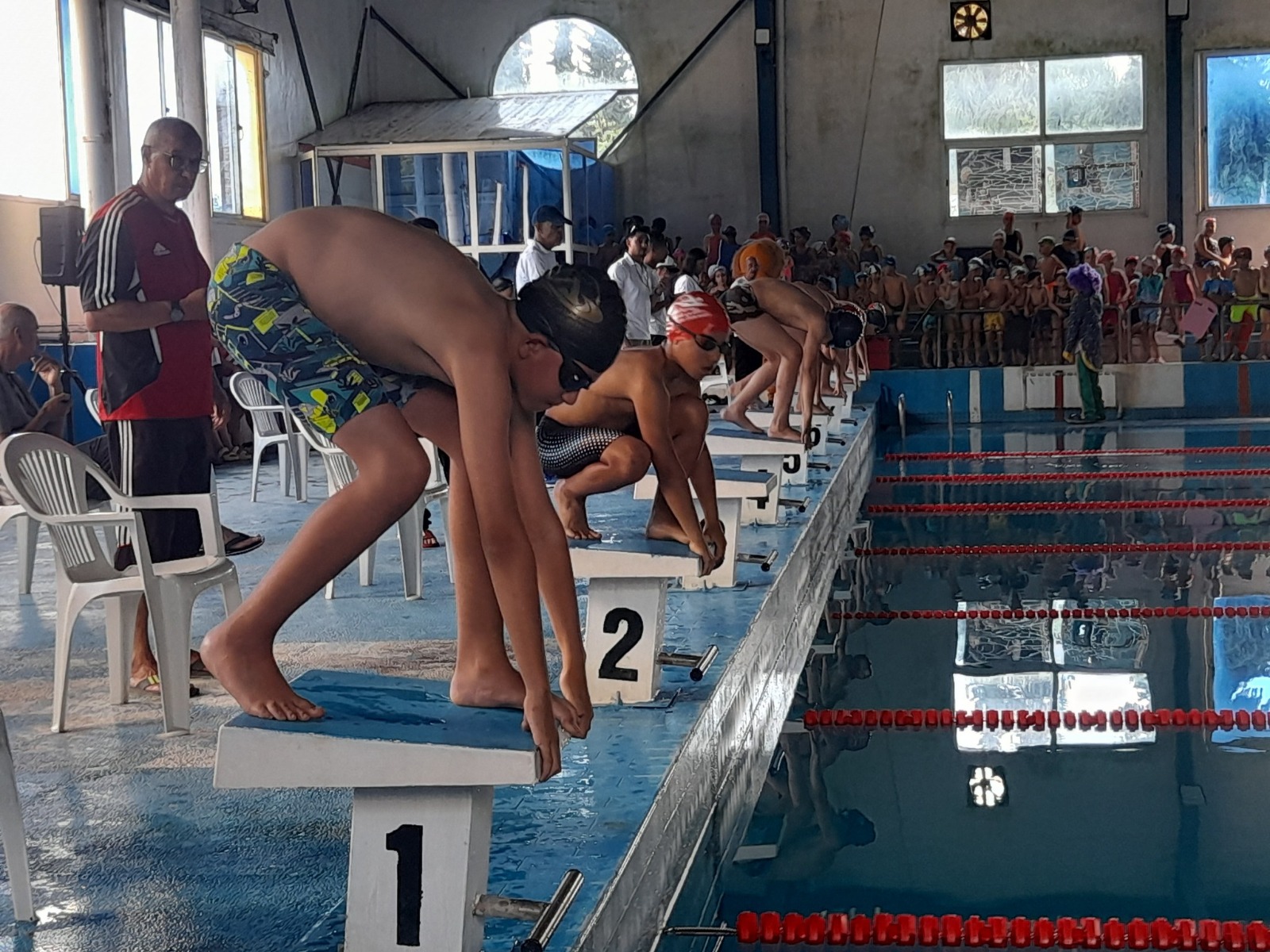 كوديم السباحة ماضية في ترتيب البيت ومستقبل مشرق يلوح في الأفق