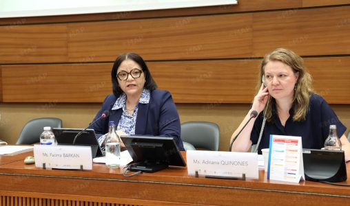 جنيف.. إبراز التقدم الذي أحرزه المغرب في مجال مشاركة النساء وتمثيليتهن على نحو كامل ومتساو