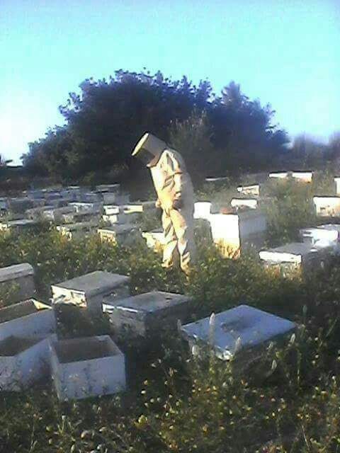 تهنئة بمناسبة عيد العرش المجيد