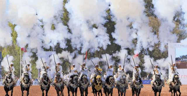 تسجيل 122 سربة بموسم مولاي عبد الله منها ثلاث سربات نساء تسجيل 122 سربة بموسم مولاي عبد الله منها ثلاث سربات نساء