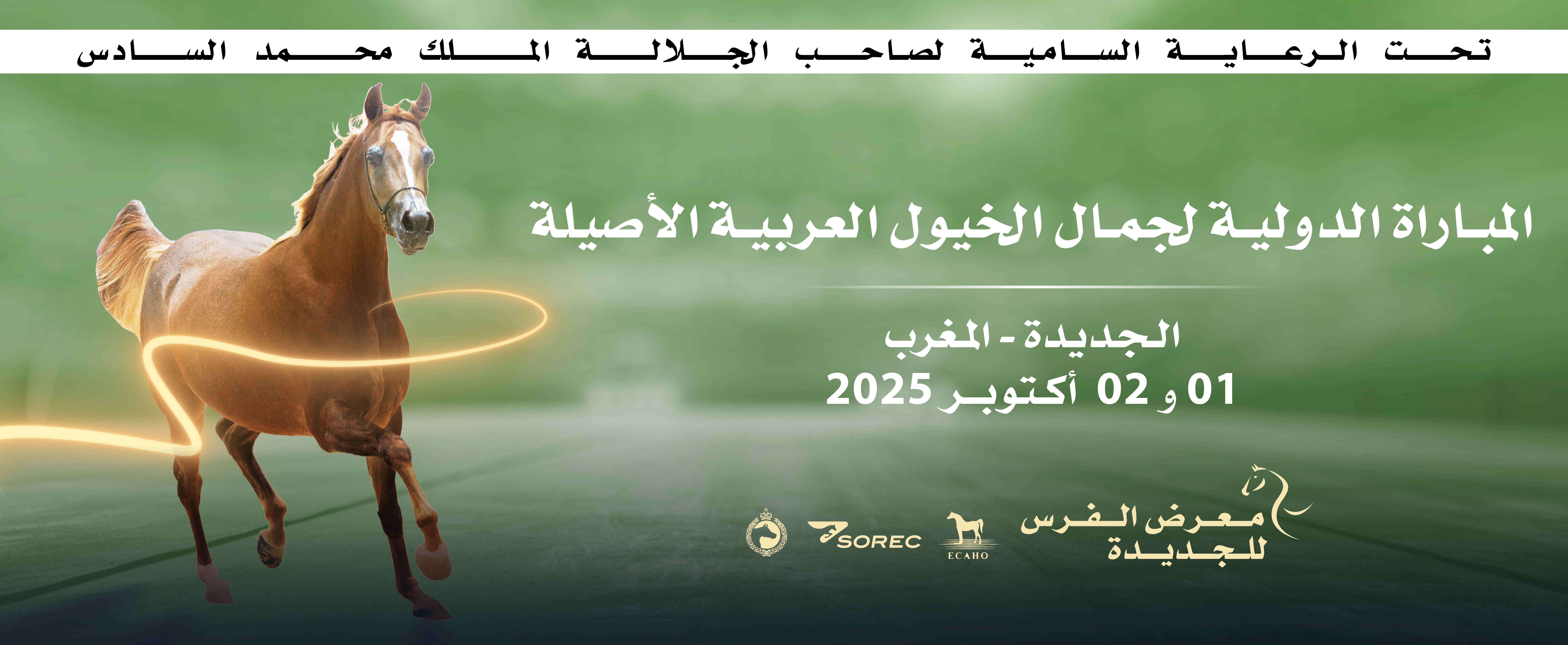 الدورة ال16 لمعرض الفرس للجديدة تستضيف المباراة الدولية “Title Show” لجمال الخيول العربية الأصيلة