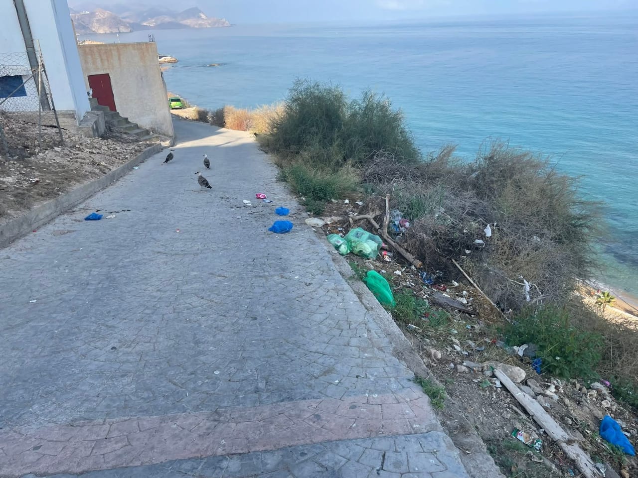 أدراج صباديا نواحي الحسيمة بين جمالية المشهد وفوضى النفايات.. مطالب عاجلة بحلول دائمة أدراج صباديا نواحي الحسيمة بين جمالية المشهد وفوضى النفايات.. مطالب عاجلة بحلول دائمة