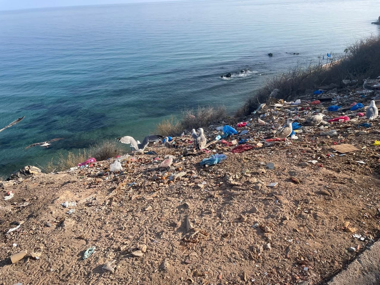 أدراج صباديا نواحي الحسيمة بين جمالية المشهد وفوضى النفايات.. مطالب عاجلة بحلول دائمة 