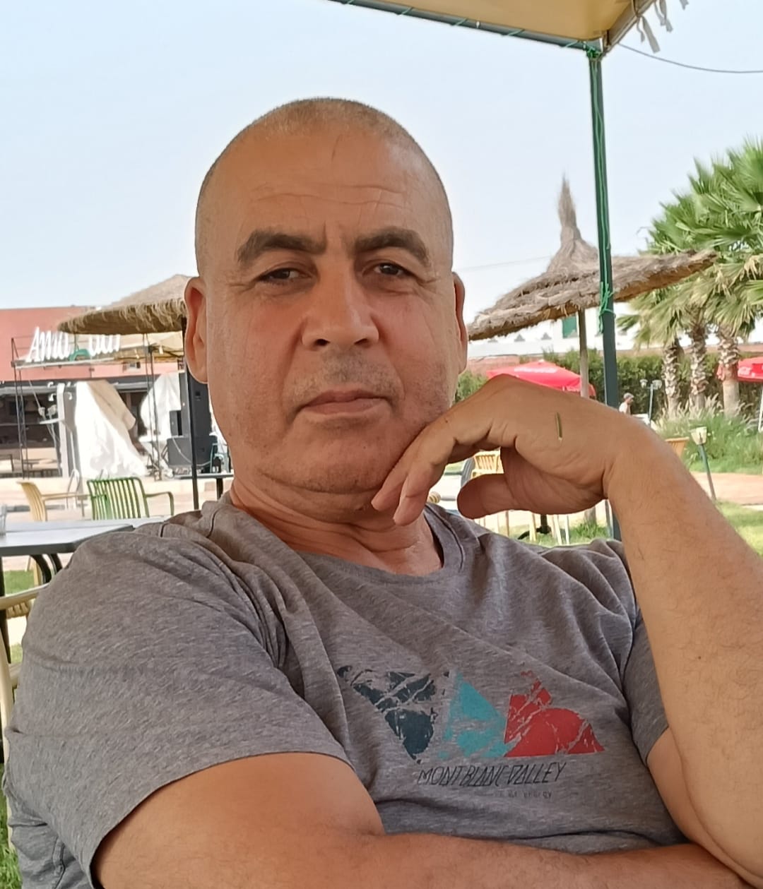 تذكرة عودة: أرانب السباق السياسي نحو حكومة المونديال !!! تذكرة عودة: أرانب السباق السياسي نحو حكومة المونديال !!!