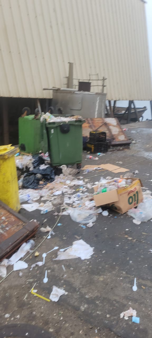 تلوث بيئي خطير يهدد ميناء الحسيمة وسط مطالب بالتدخل العاجل