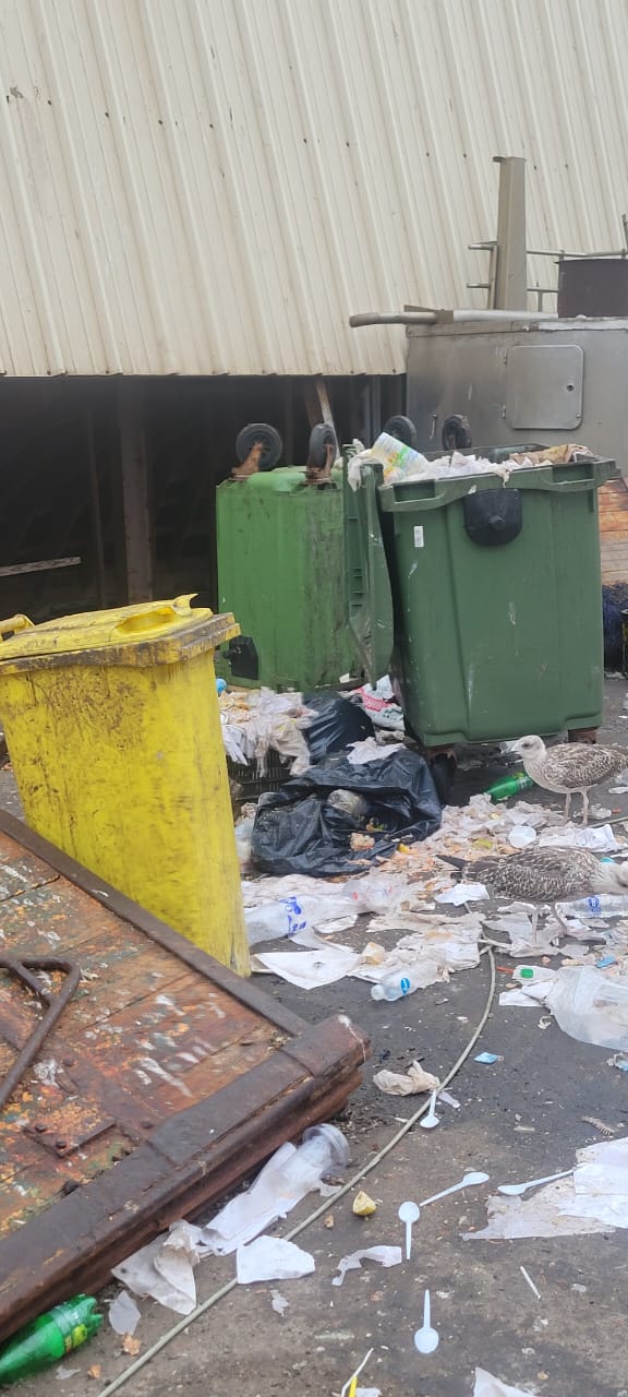 تلوث بيئي خطير يهدد ميناء الحسيمة وسط مطالب بالتدخل العاجل