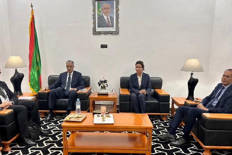 السيدة بنعلي تجري مباحثات مع وزير الطاقة والنفط الموريتاني حول سبل تسريع التعاون في مجالات الكهرباء والطاقات المتجددة