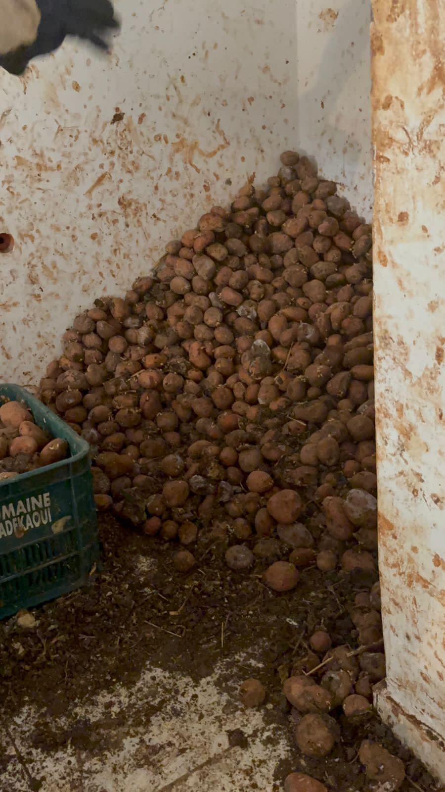 قائد مقاطعة طابولة بتطوان يضرب بيد من حديد ويطيح بمعمل قائد مقاطعة طابولة بتطوان يضرب بيد من حديد ويطيح بمعمل