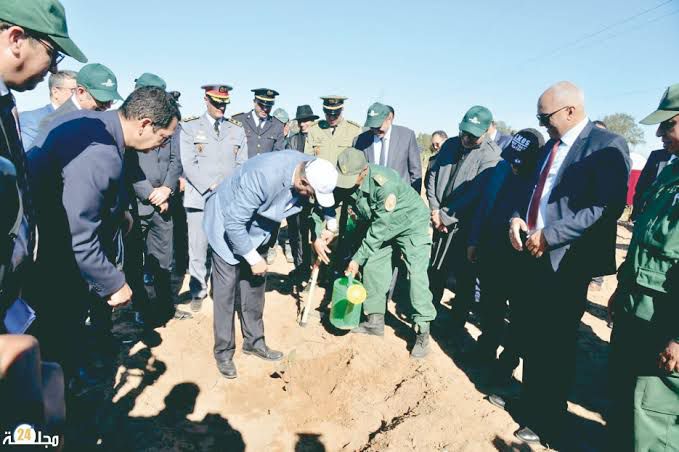 المغرب يطلق مبادرة وطنية للتشجير لمواجهة التغيرات المناخية المغرب يطلق مبادرة وطنية للتشجير لمواجهة التغيرات المناخية