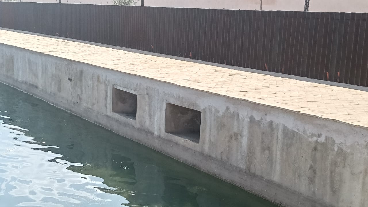 نباتات تطفو على سطح صهريج السواني والحلول الممكنة لكي لا تعفن مياهه. نباتات تطفو على سطح صهريج السواني والحلول الممكنة لكي لا تعفن مياهه.