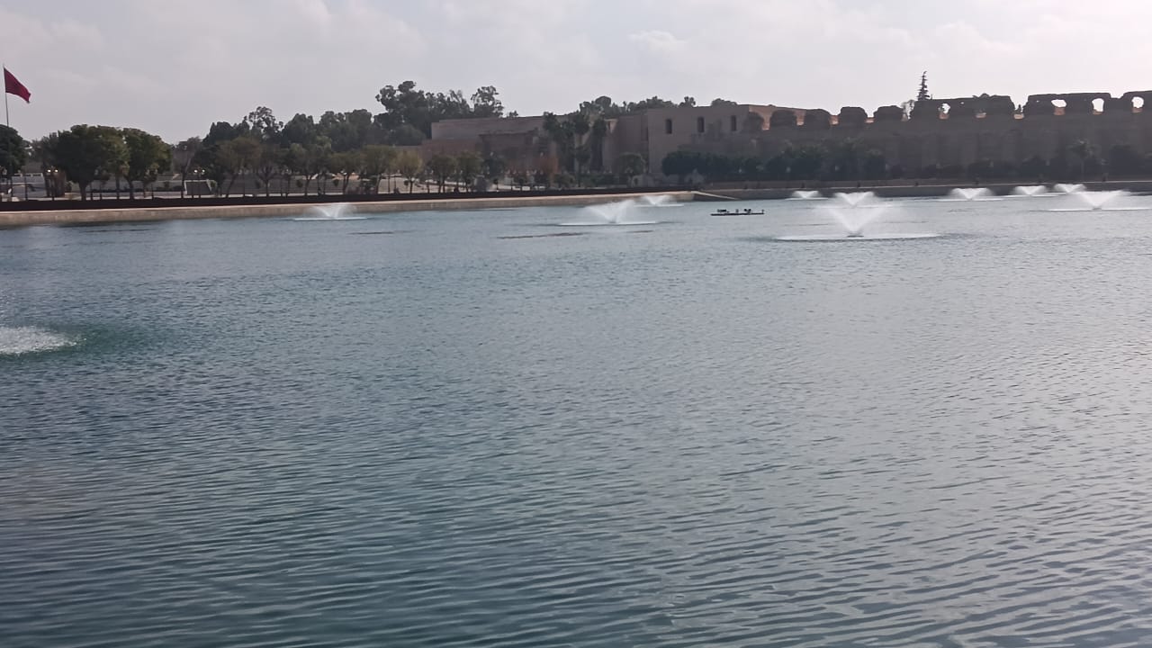 نباتات تطفو على سطح صهريج السواني والحلول الممكنة لكي لا تعفن مياهه. نباتات تطفو على سطح صهريج السواني والحلول الممكنة لكي لا تعفن مياهه.