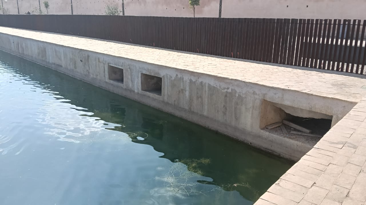 نباتات تطفو على سطح صهريج السواني والحلول الممكنة لكي لا تعفن مياهه. نباتات تطفو على سطح صهريج السواني والحلول الممكنة لكي لا تعفن مياهه.