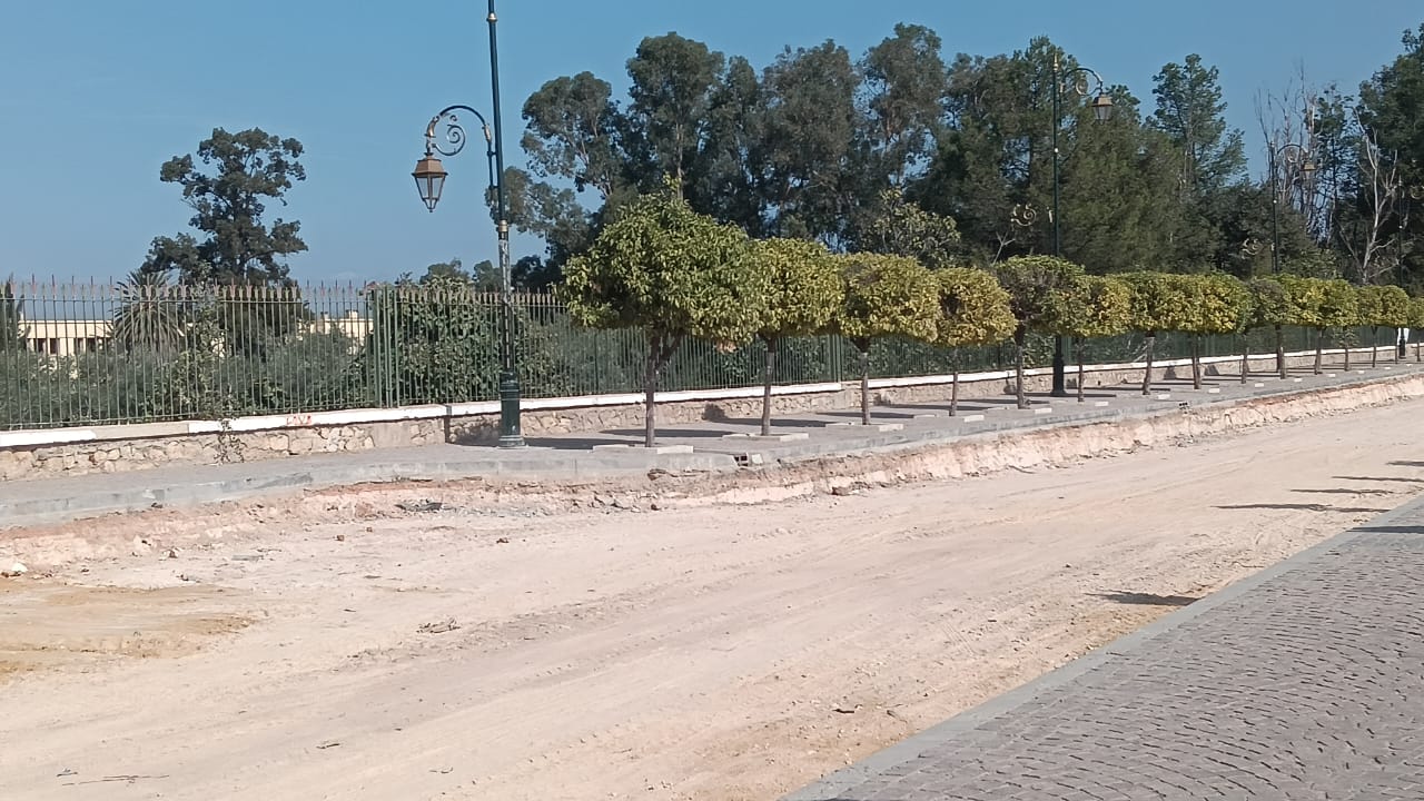 نباتات تطفو على سطح صهريج السواني والحلول الممكنة لكي لا تعفن مياهه. نباتات تطفو على سطح صهريج السواني والحلول الممكنة لكي لا تعفن مياهه.