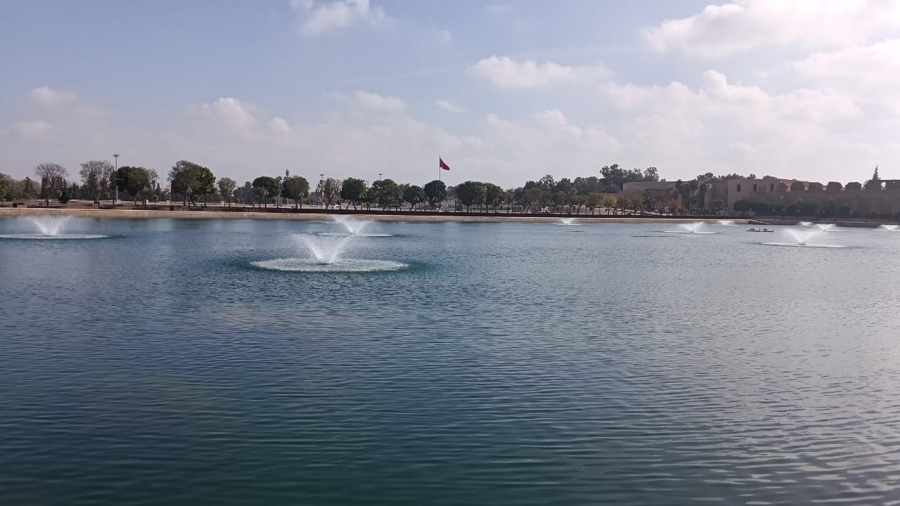 نباتات تطفو على سطح صهريج السواني والحلول الممكنة لكي لا تعفن مياهه. نباتات تطفو على سطح صهريج السواني والحلول الممكنة لكي لا تعفن مياهه.