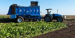 بوجدور.. مشاريع هيدرو-فلاحية كبرى من أجل فلاحة مستدامة في قلب الصحراء