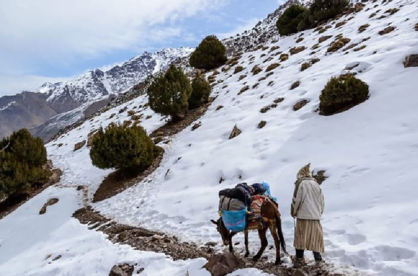انطلاق عملية “رعاية 2025-2026” من أجل تعزيز خدمات صحة القرب للتكفل الصحي بساكنة المناطق المعرضة لآثار موجات البرد انطلاق عملية “رعاية 2025-2026” من أجل تعزيز خدمات صحة القرب للتكفل الصحي بساكنة المناطق المعرضة لآثار موجات البرد