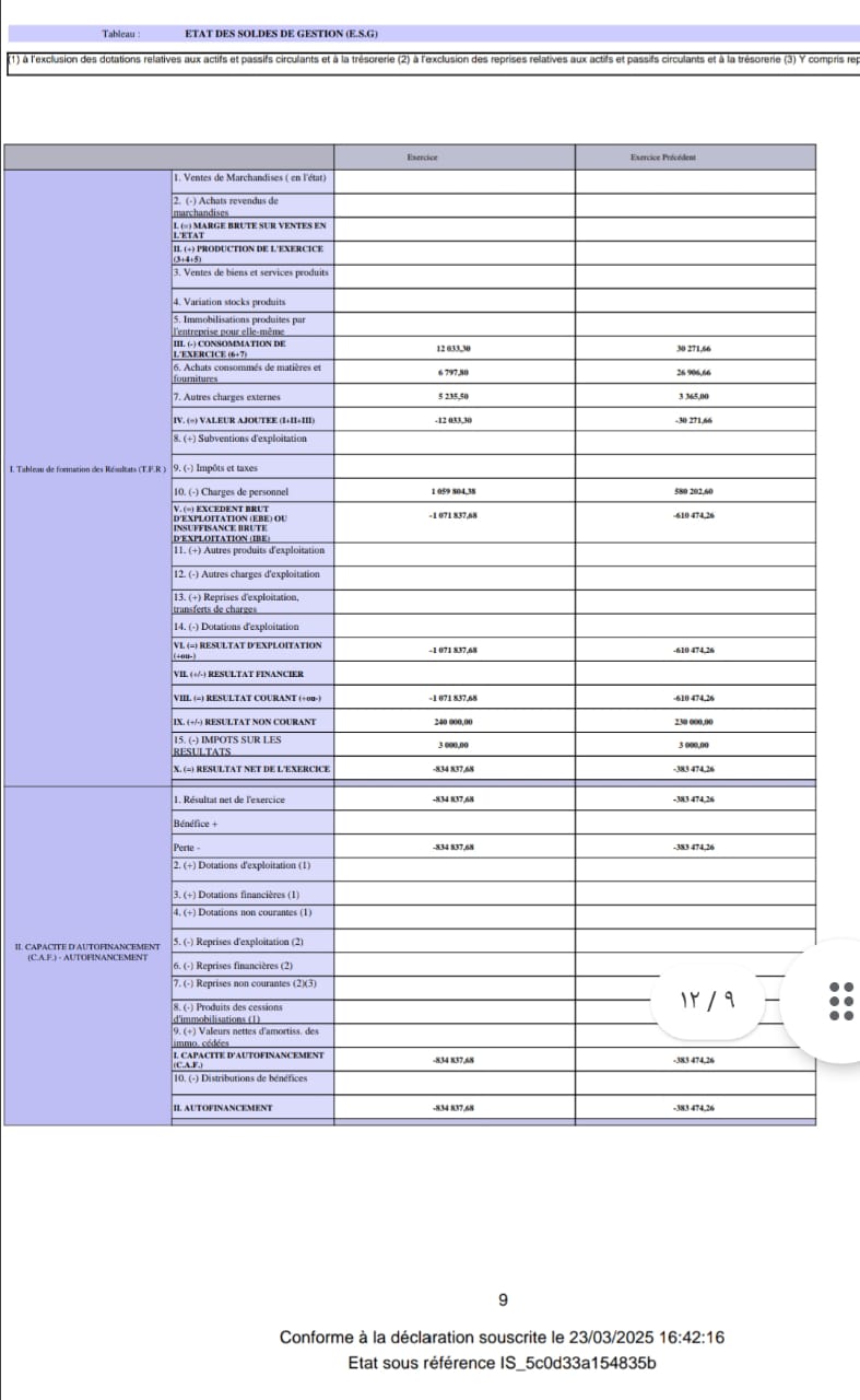 الحساب الختامي الاجمالي لسنة 2024 لشركة الفردوس ميديا الحساب الختامي الاجمالي لسنة 2024 لشركة الفردوس ميديا