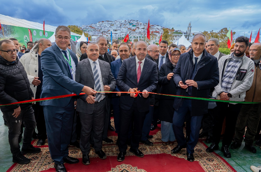 وزان تحتضن فعاليات الدورة الثالثة للمعرض الوطني للزيتون وزان تحتضن فعاليات الدورة الثالثة للمعرض الوطني للزيتون