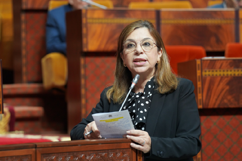 وزارة التضامن تعتزم إطلاق حملة وطنية لتعزيز المشاركة السياسية للنساء وزارة التضامن تعتزم إطلاق حملة وطنية لتعزيز المشاركة السياسية للنساء