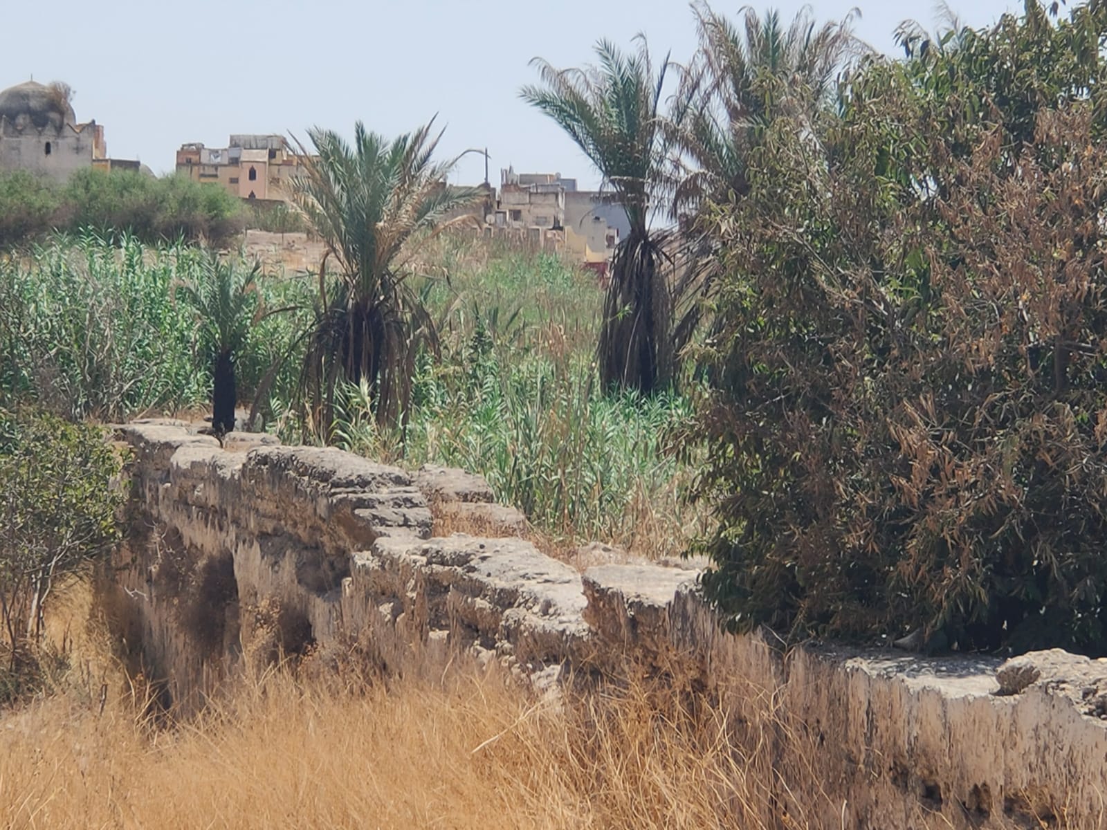 المغرب والسنغال يعقدان دورة جديدة للجنة العليا المختلطة للشراكة المغربية السنغالية بالرباط يومي 26 و27 يناير الجاري