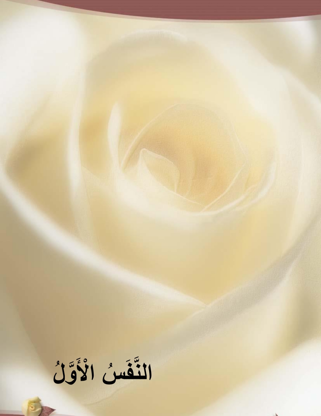 اغنية الحروف عشر انفاس من اجلك يا وطني لعبد الله الطني