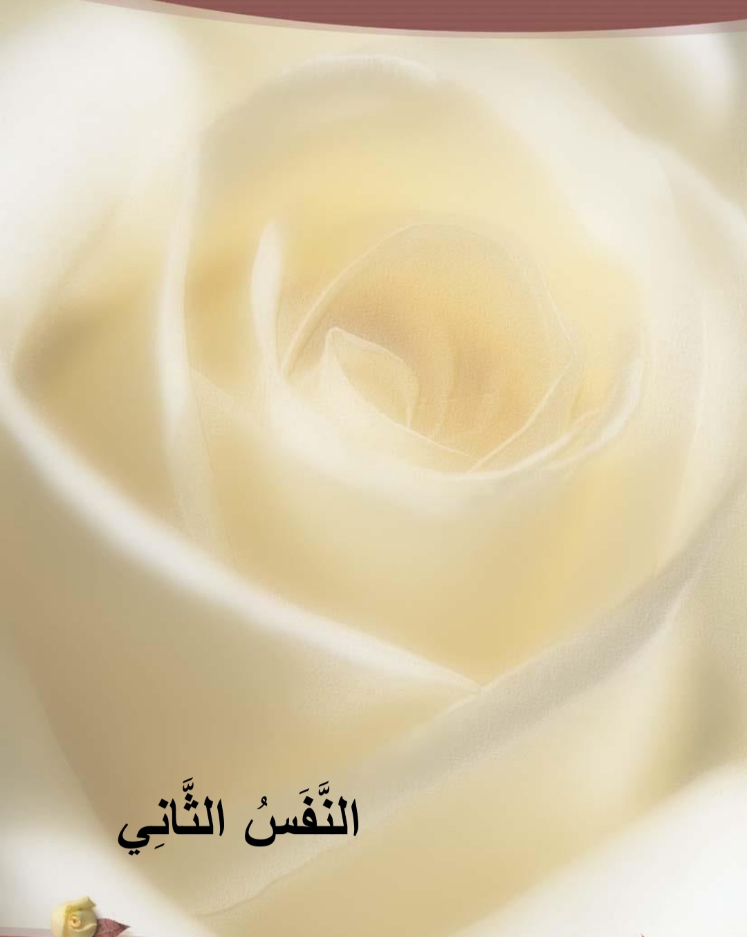 اغنية الحروف عشر انفاس من اجلك يا وطني لعبد الله الطني