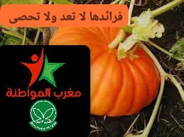 فوائد اليقطين فوائد اليقطين