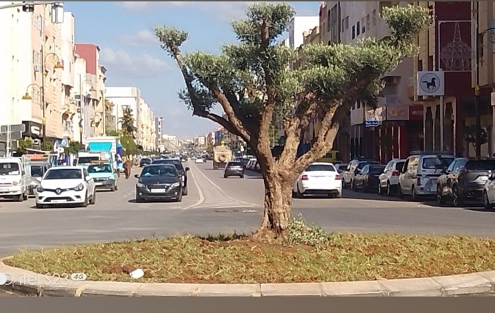 شارع محمد السادس بمكناس… حين تتحول الرؤية إلى إنجاز