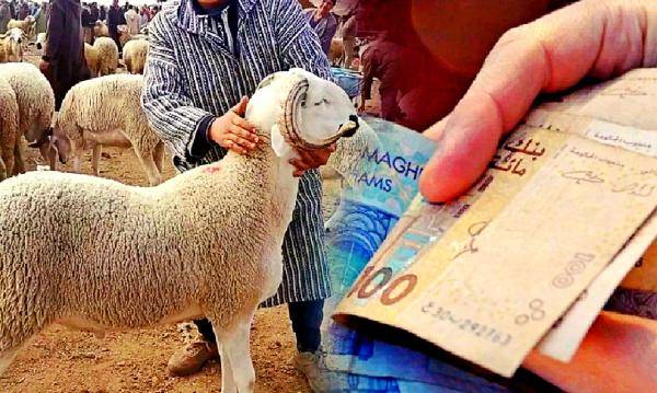 صرف منحة مالية تضامنية لفائدة أرامل ومتقاعدي الأمن الوطني بمناسبة عيد الأضحى